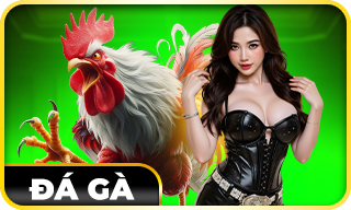 ĐÁ GÀ CM88